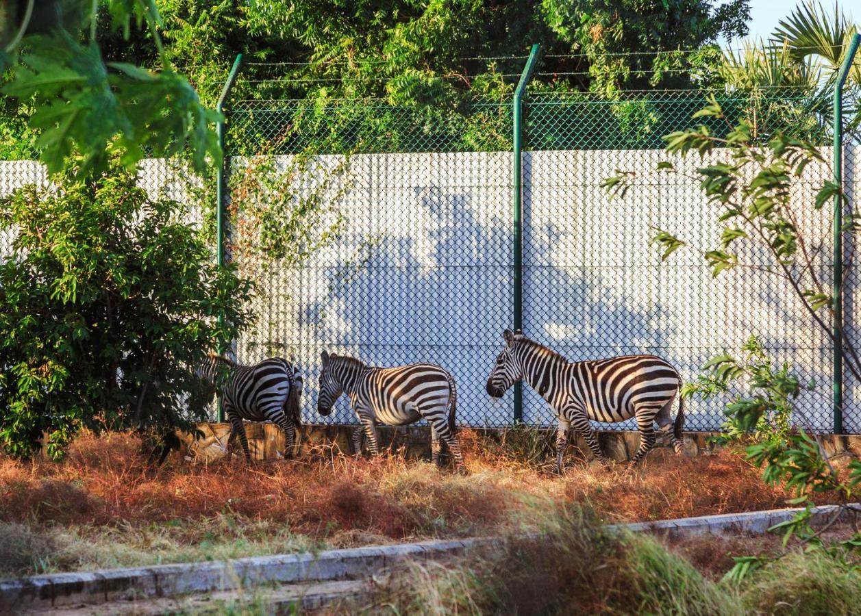 Aya Sophia Villa Garden Hotel Dar-es-Salaam Eksteriør bilde