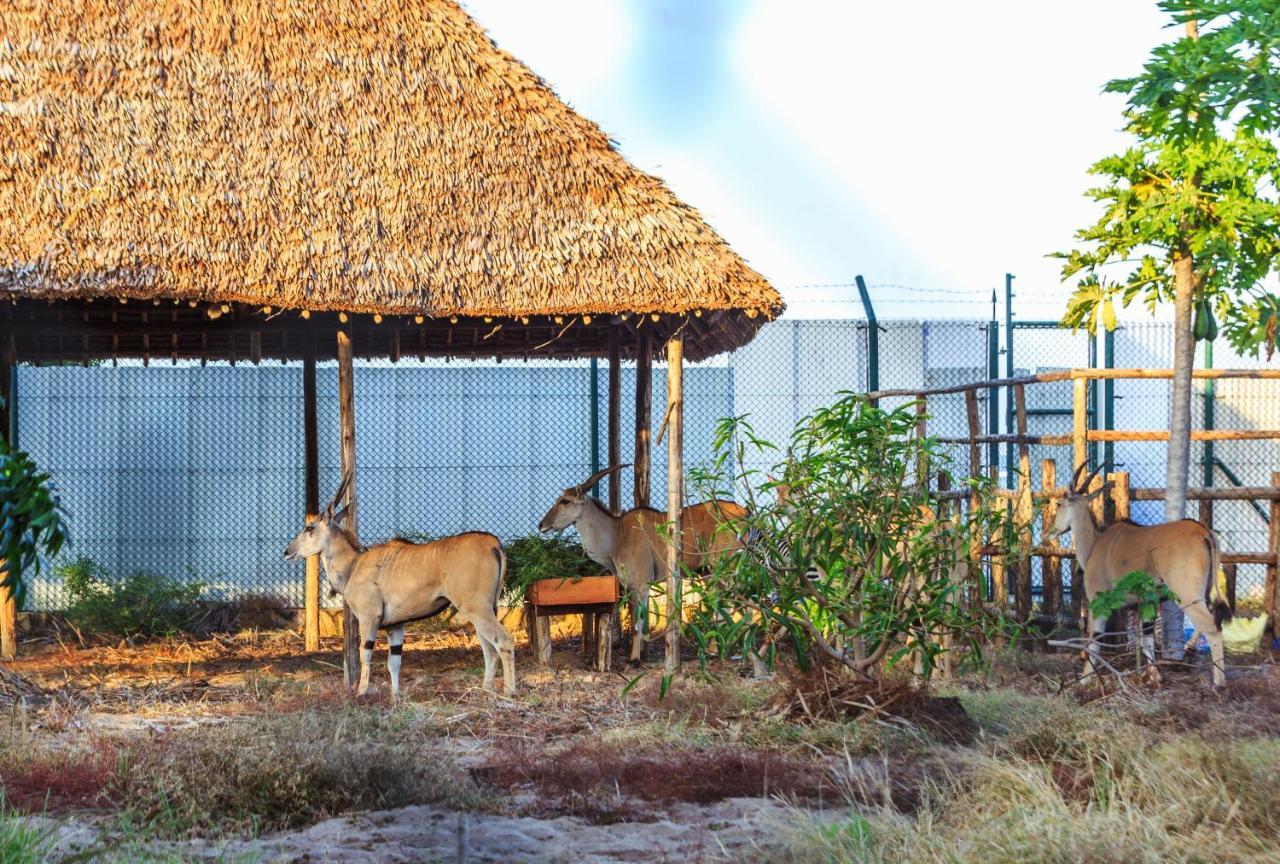 Aya Sophia Villa Garden Hotel Dar-es-Salaam Eksteriør bilde