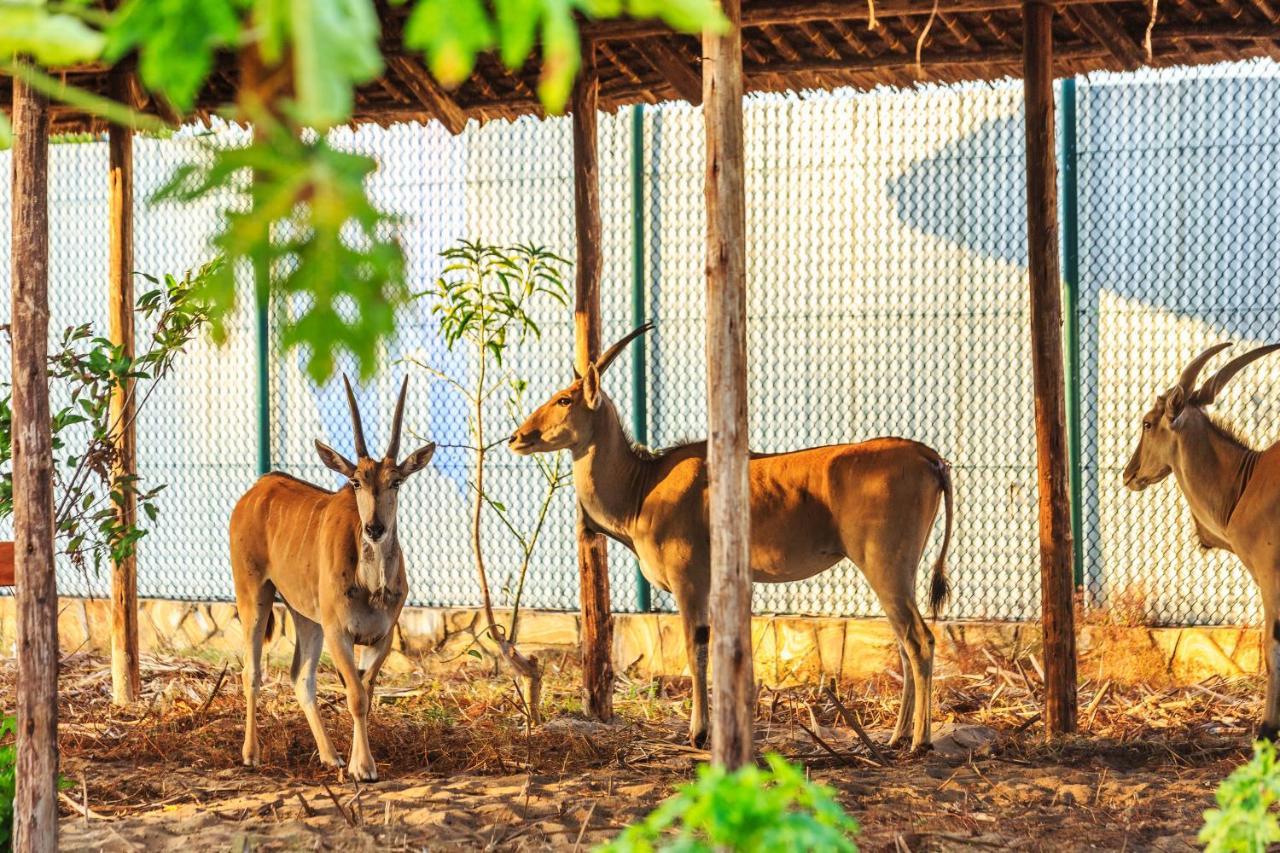 Aya Sophia Villa Garden Hotel Dar-es-Salaam Eksteriør bilde